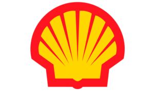 Shell to temporarily pause on.